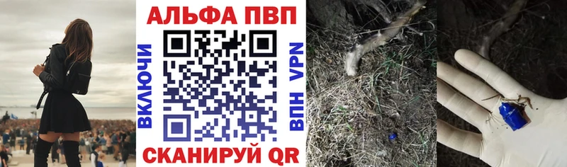 Купить закладки  Ногинск  Alpha-PVP СК 