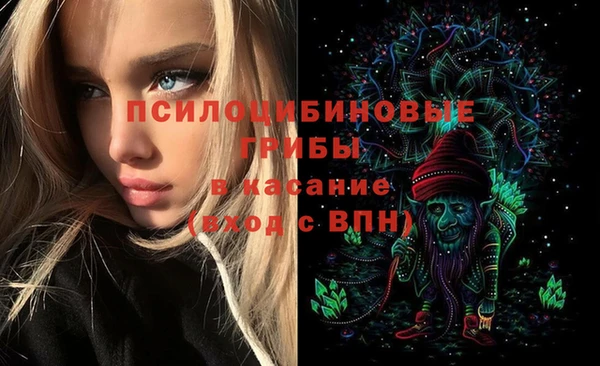 apvp Елизово