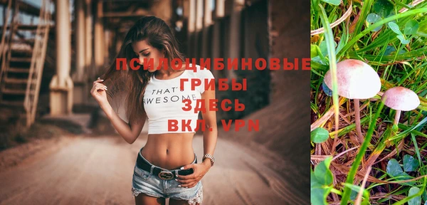 PSILOCYBIN Елабуга