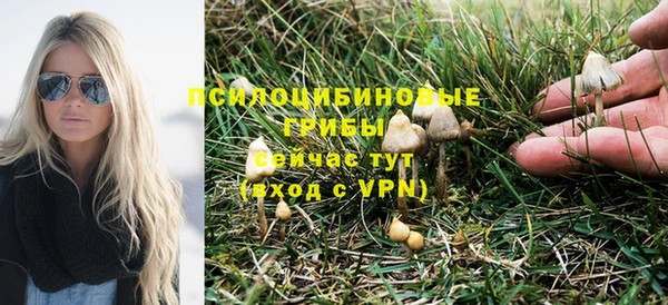 PSILOCYBIN Елабуга