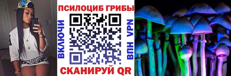 Купить закладки  Ногинск  Галлюциногенные грибы GOLDEN TEACHER 